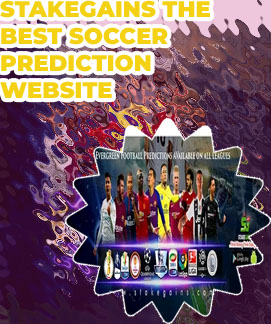 Stakegains soccer prediction